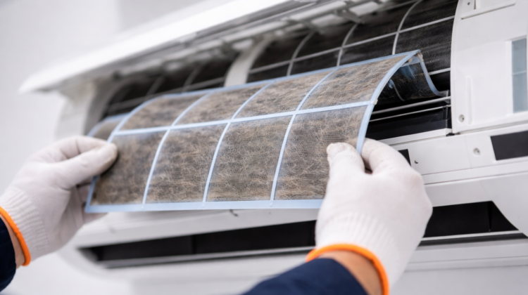 Donec sit amet eros. Lorem ipsum dolor sit amet, consectetuer adipiscing elit. Mauris fermentum dictum magna. Sed laoreet aliquam leo.