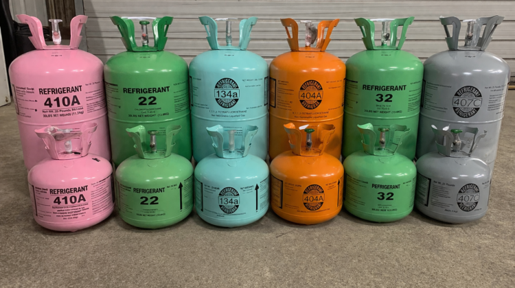 Donec sit amet eros. Lorem ipsum dolor sit amet, consectetuer adipiscing elit. Mauris fermentum dictum magna. Sed laoreet aliquam leo. Ut tellus dolor, dapibus eget.